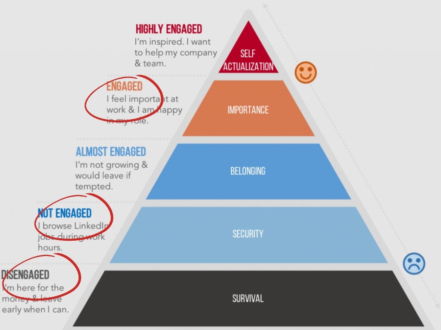 engagement levels